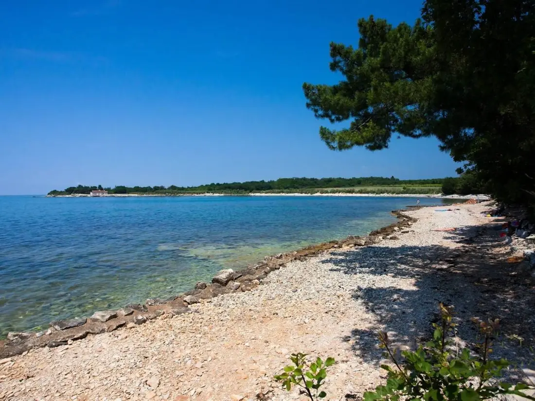 Camping Camp Kastanija
