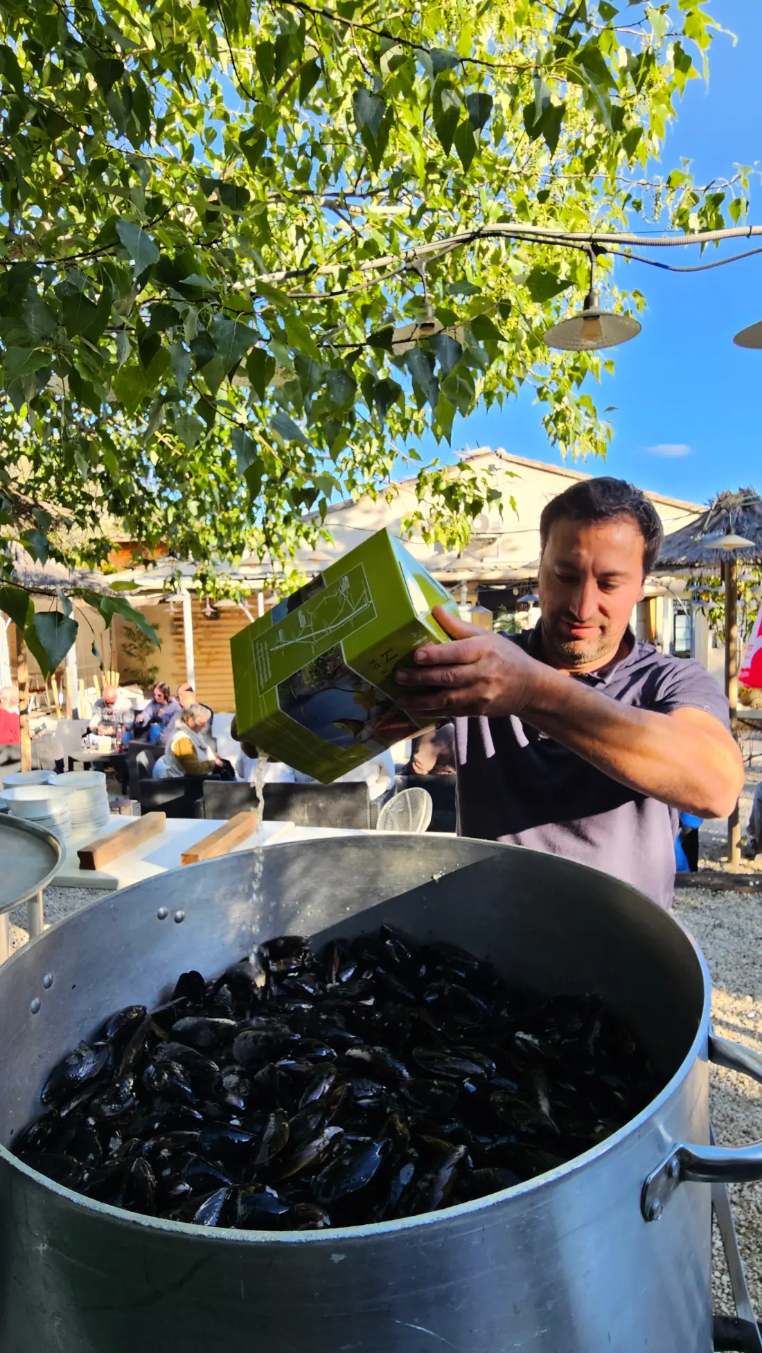 Camping Les Terrasses Provençales 4 étoiles★★★★