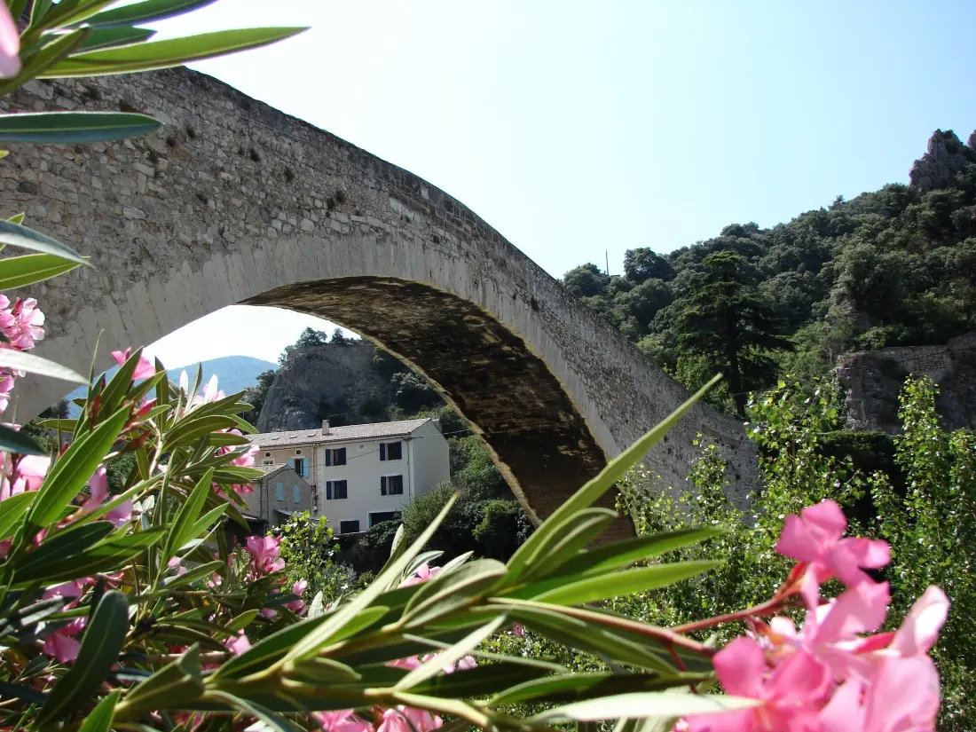 Camping Les Terrasses Provençales 4 étoiles★★★★