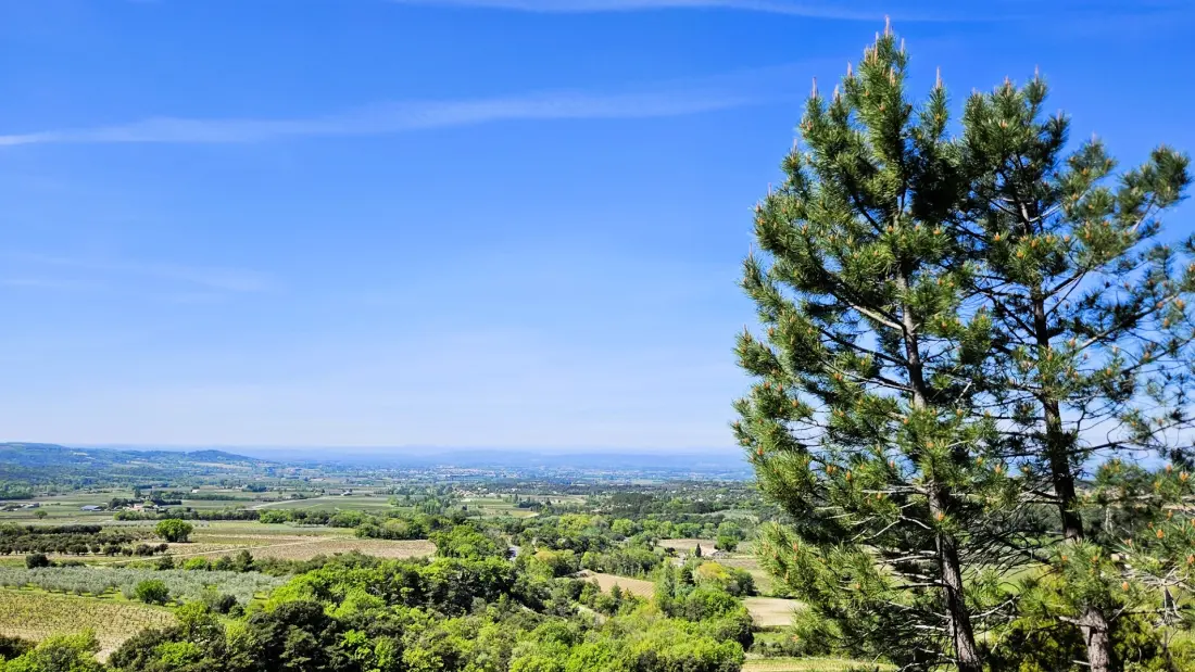 Camping Les Terrasses Provençales 4 étoiles★★★★