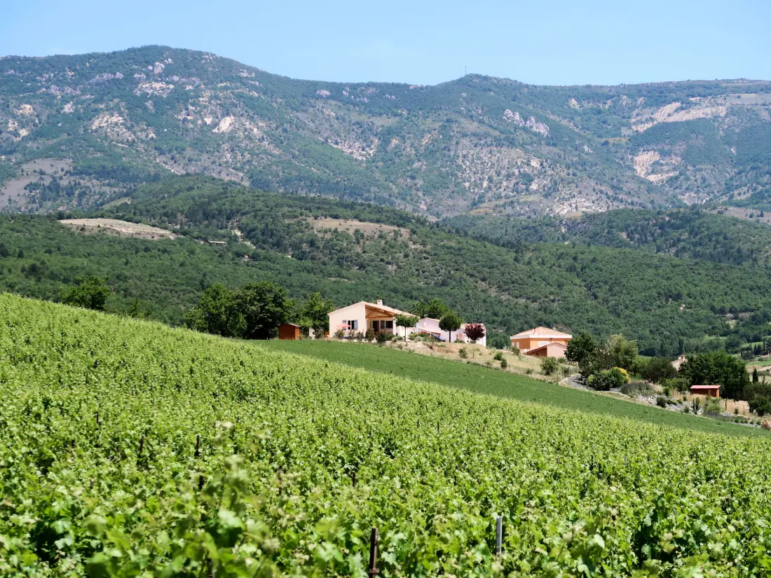 Maison de Vacances Nyons