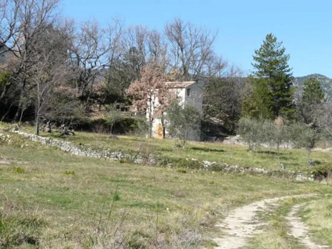 Villa Nina