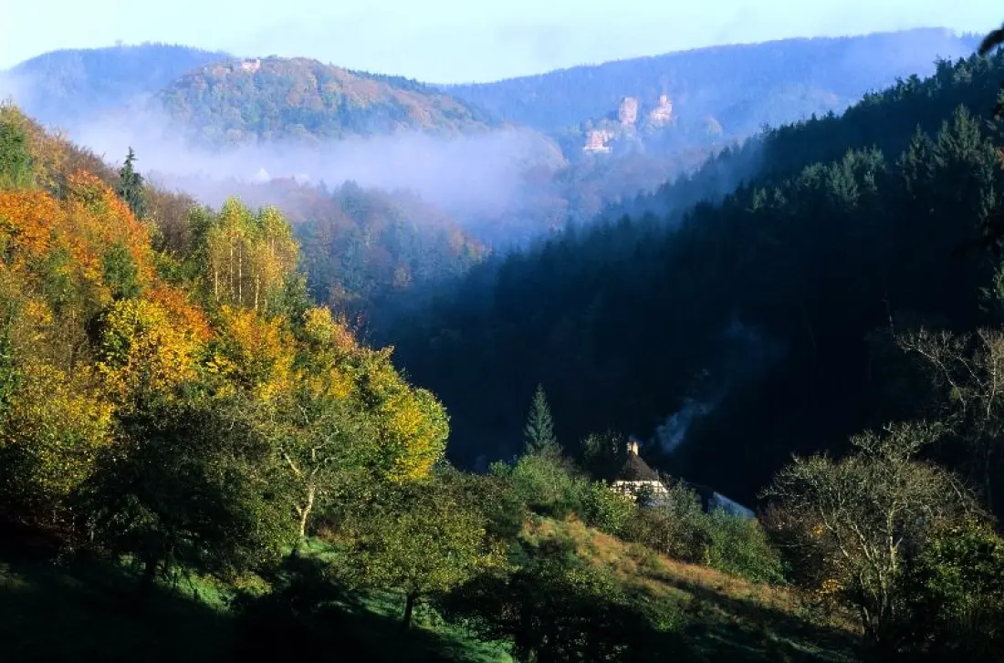 Camping Seasonova Les Vosges du Nord 3 étoiles★★★