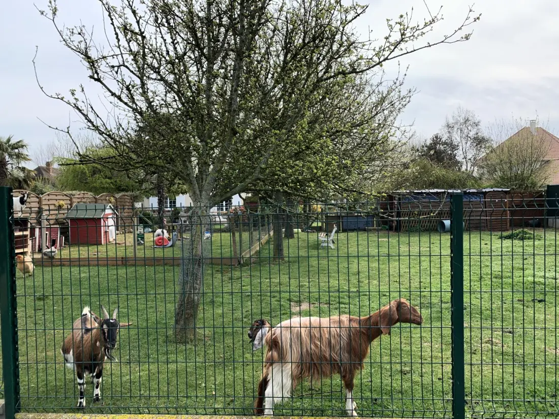 Gîte de France Gîtes de france® - bienvenue chez les biquettes 3 épis