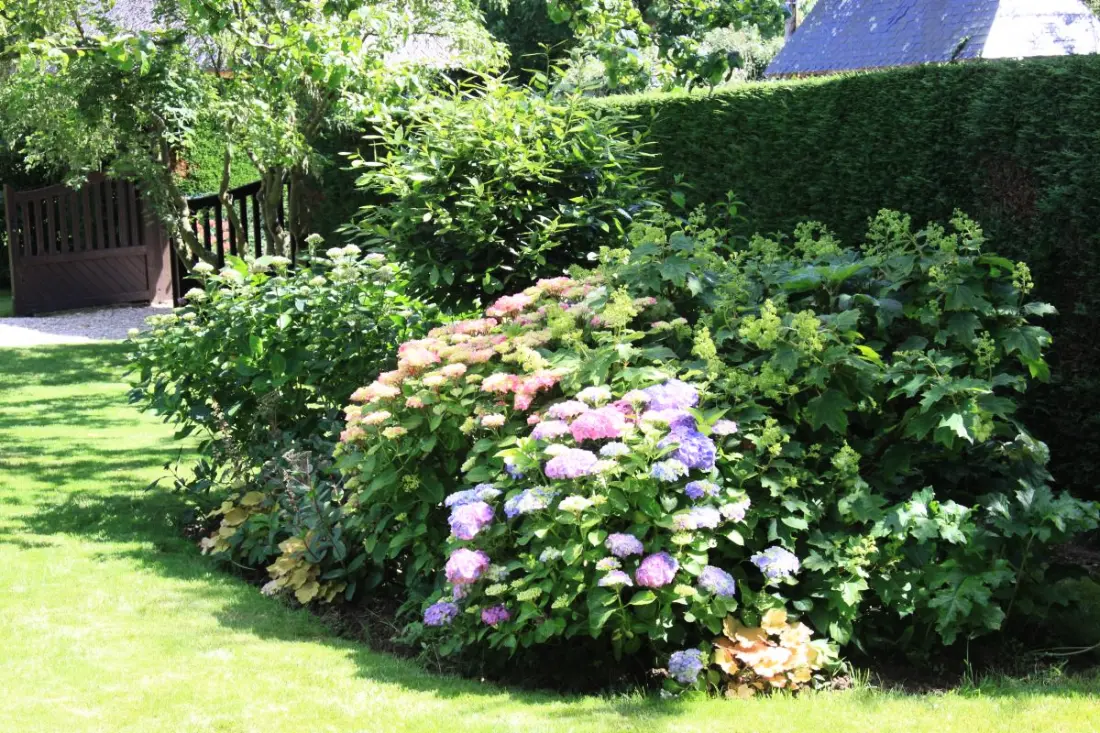 Gîte de France Gîtes de france® - la chaumière 4 épis
