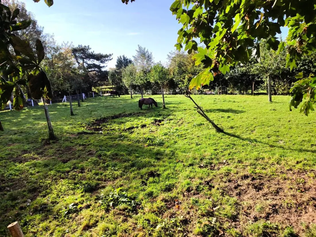 Gîte de France Gîtes de france® - le lodge 3 épis