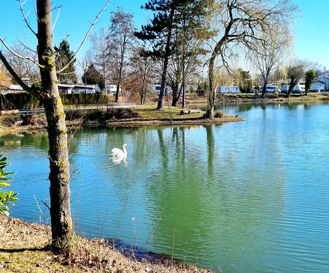 Camping am Hirschfeldsee - Sperrfechter Freizeitpark 3 étoiles★★★