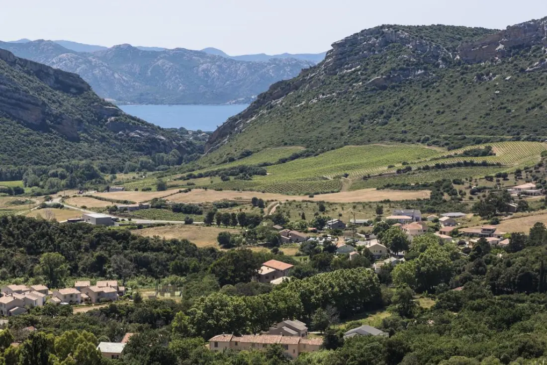 Résidence Odalys Casa d'Orinaju