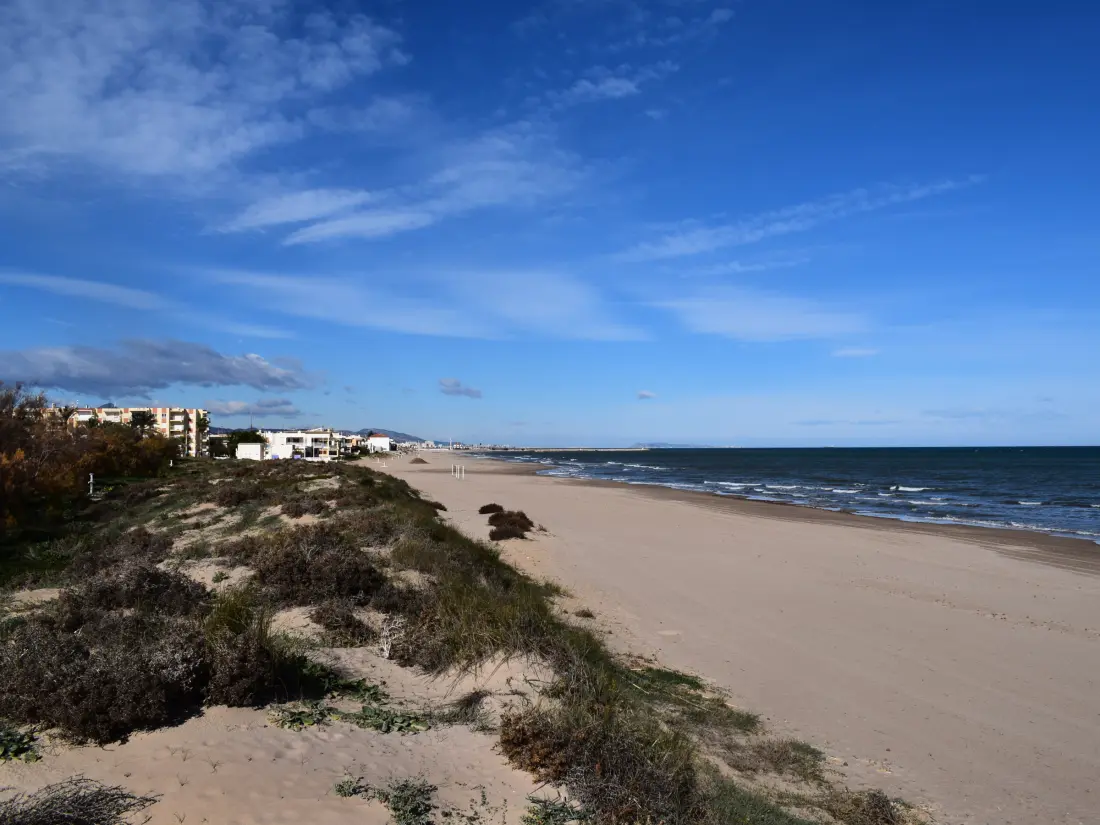 Location de Vacances Oliva 102