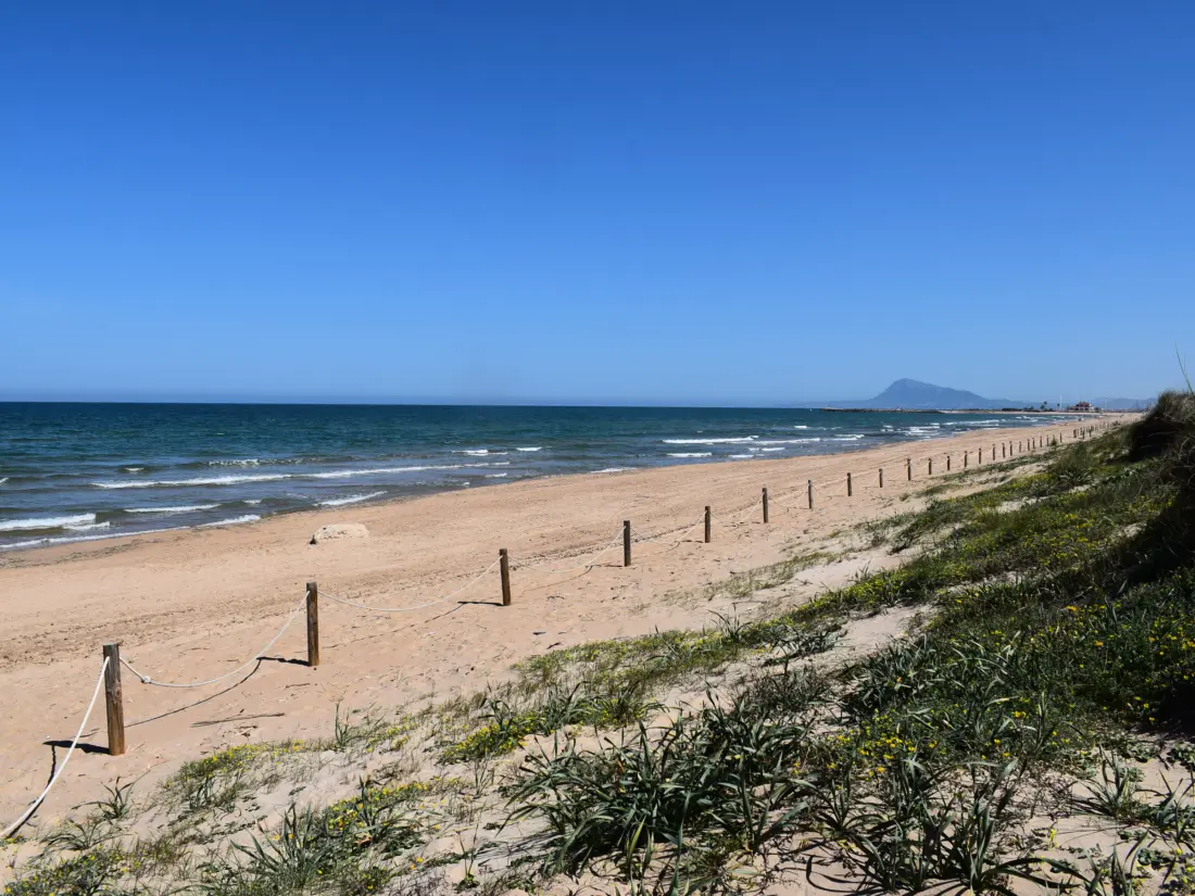 Location de Vacances Oliva 263