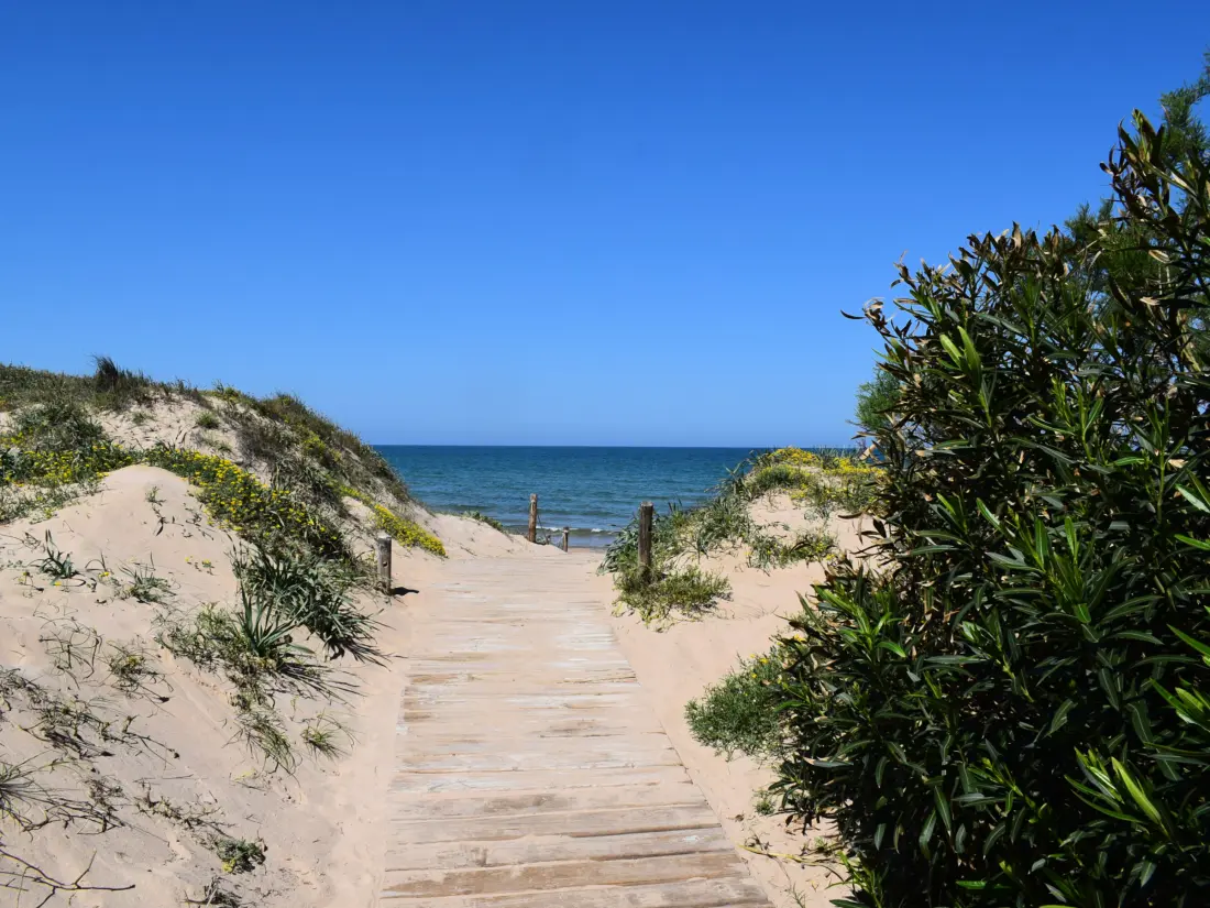 Location de Vacances Oliva 263