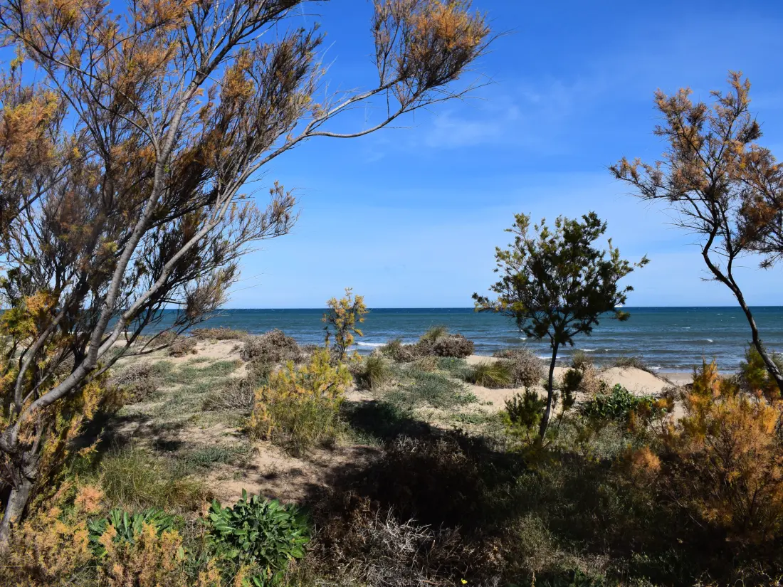 Location de Vacances Oliva 268