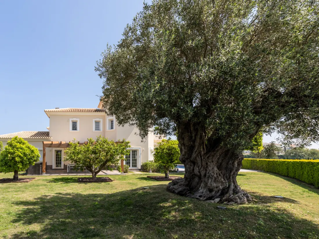 Maison de Vacances Oliva 125