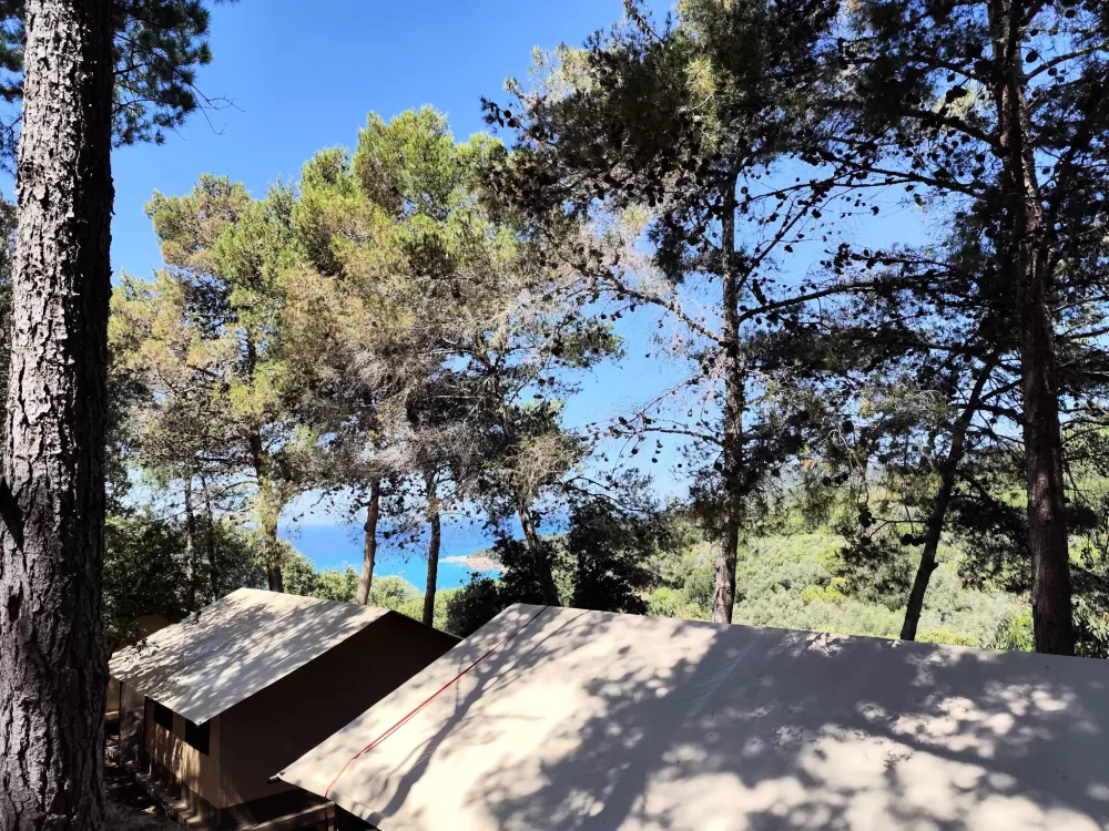 Camping L'Esplanade 4 étoiles★★★★