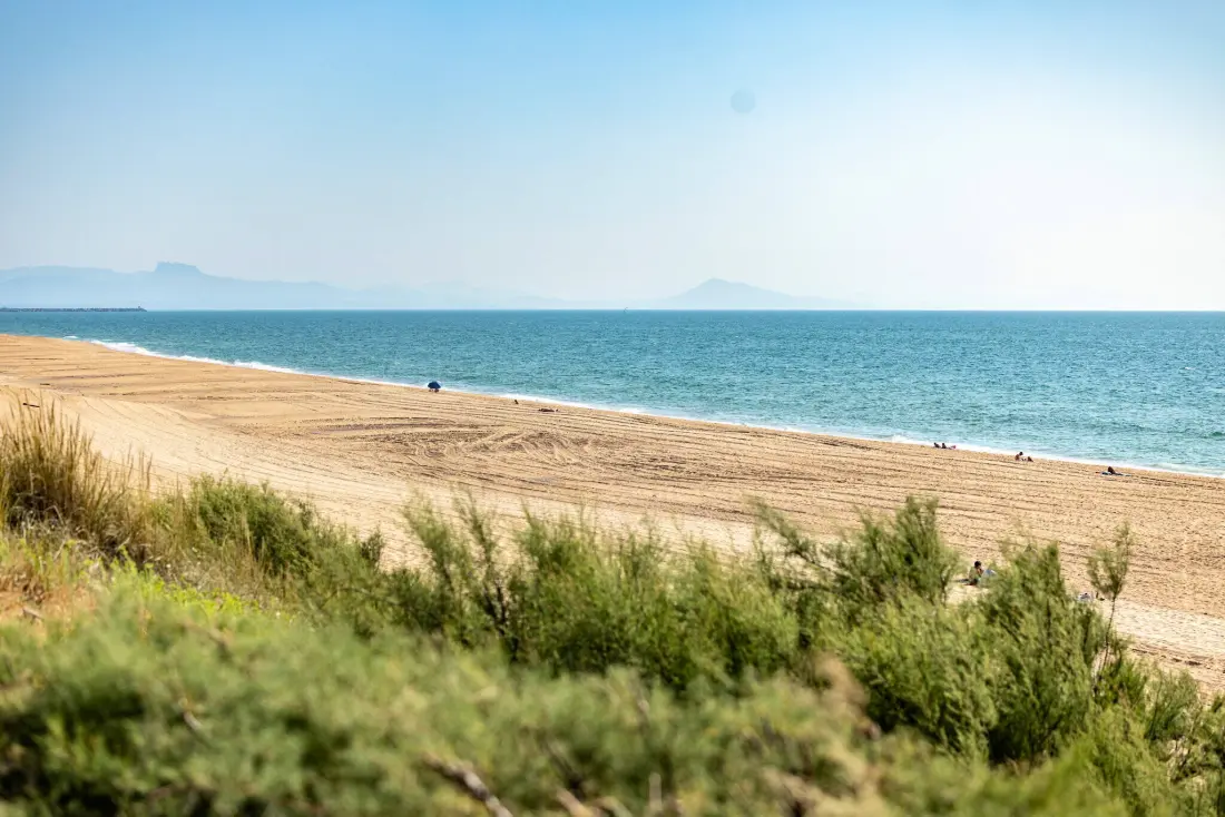 Camping Landae