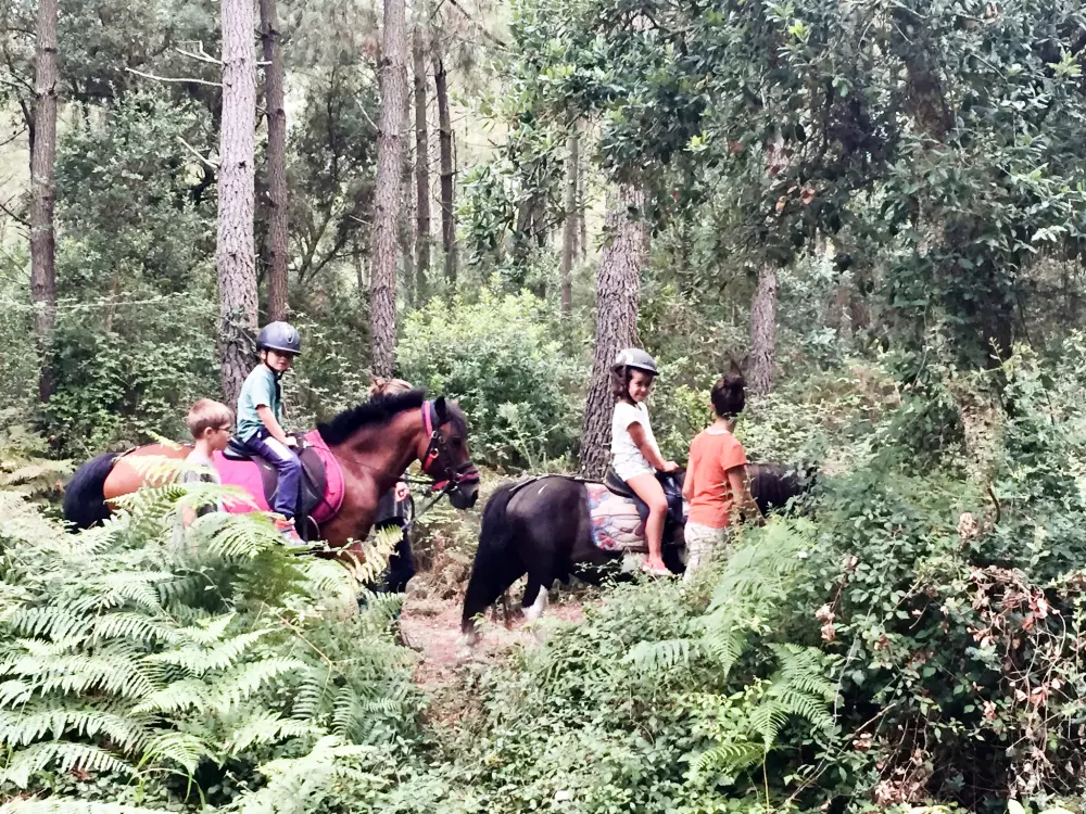 Maison de Vacances Ondres