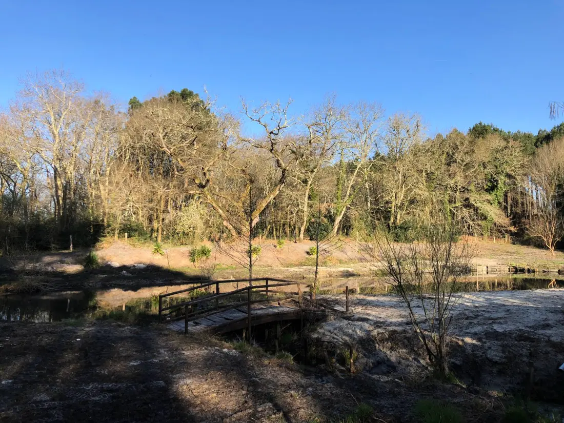 Camping L'Orée des Landes 3 étoiles★★★