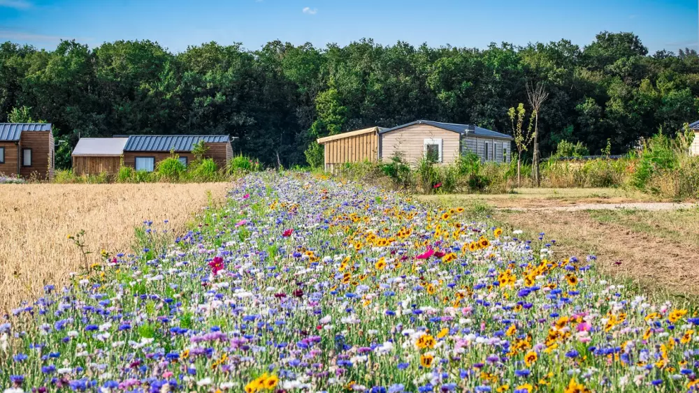 Camping Ferme Pédagogique de Prunay 41 étoiles★