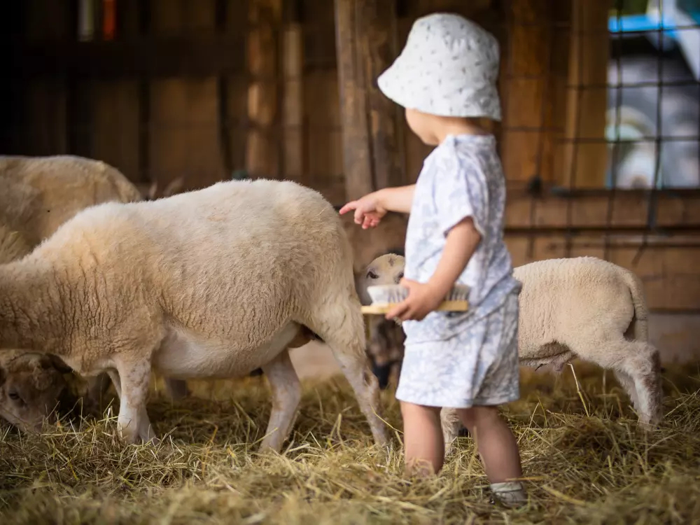 Camping Ferme Pédagogique de Prunay 41 étoiles★