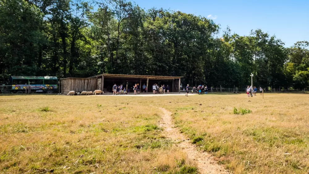 Camping Ferme Pédagogique de Prunay 41 étoiles★