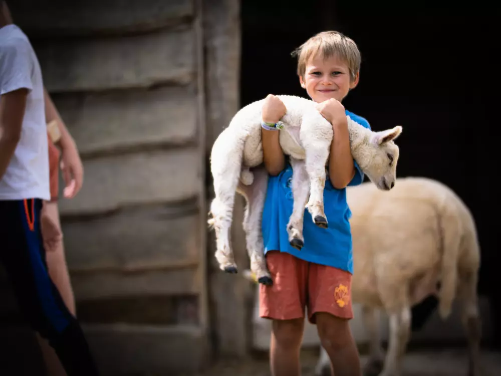 Camping Ferme Pédagogique de Prunay 41 étoiles★