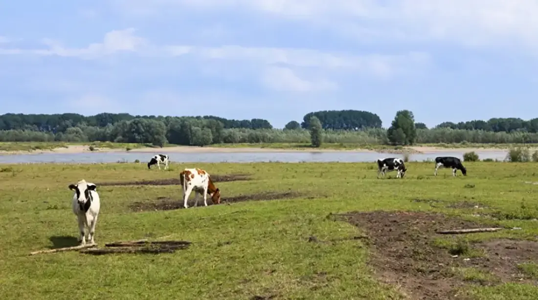Hoeve de Pippert