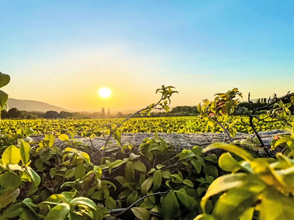 Maison de Vacances Oppede