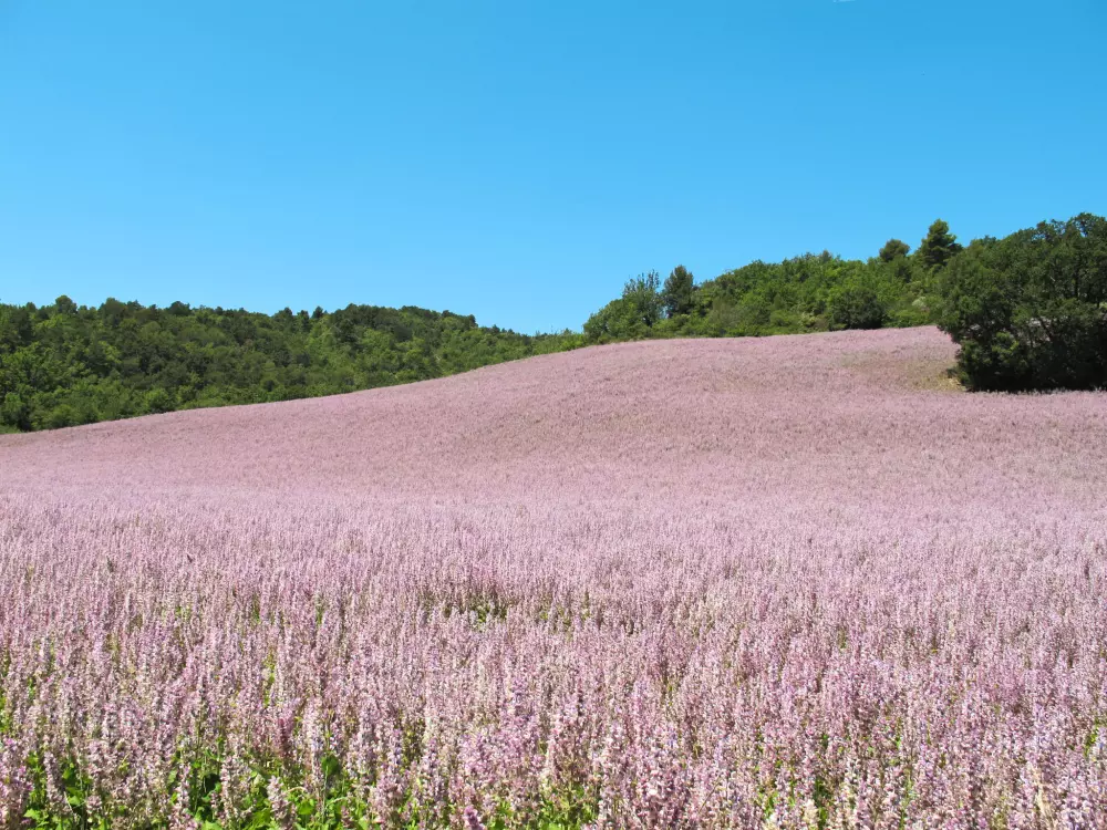 Maison de Vacances Oraison-Villeneuve
