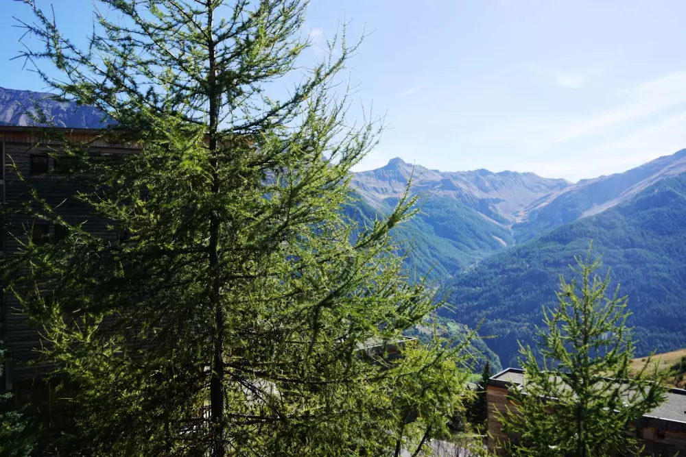 Résidence Rond Point I