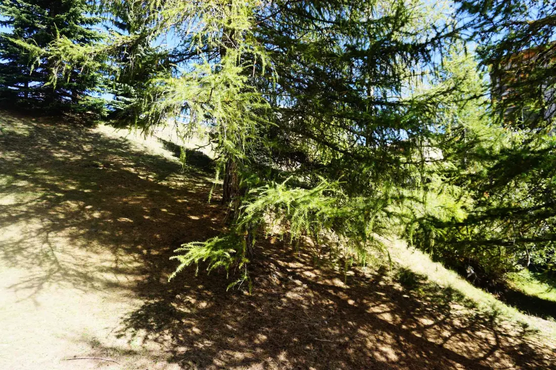 Résidence Rond Point I