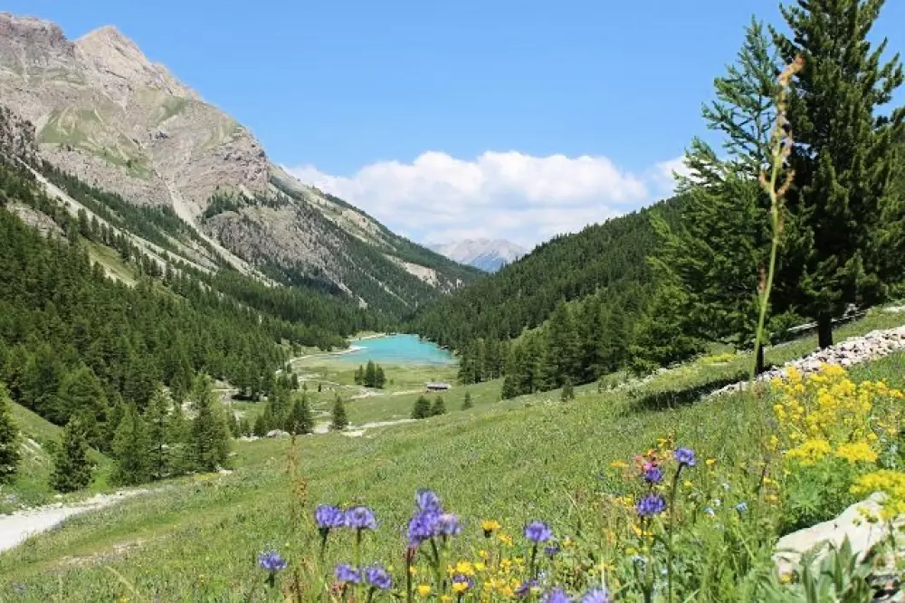 Résidence Rond-point-pistes Ii