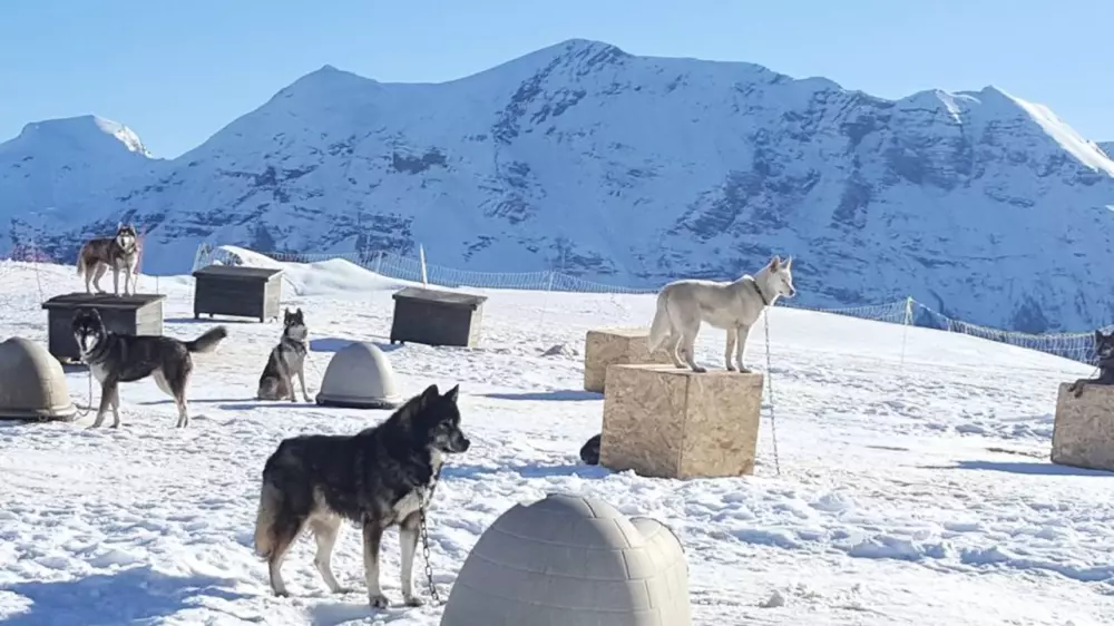 Résidence Rond-point-pistes Ii