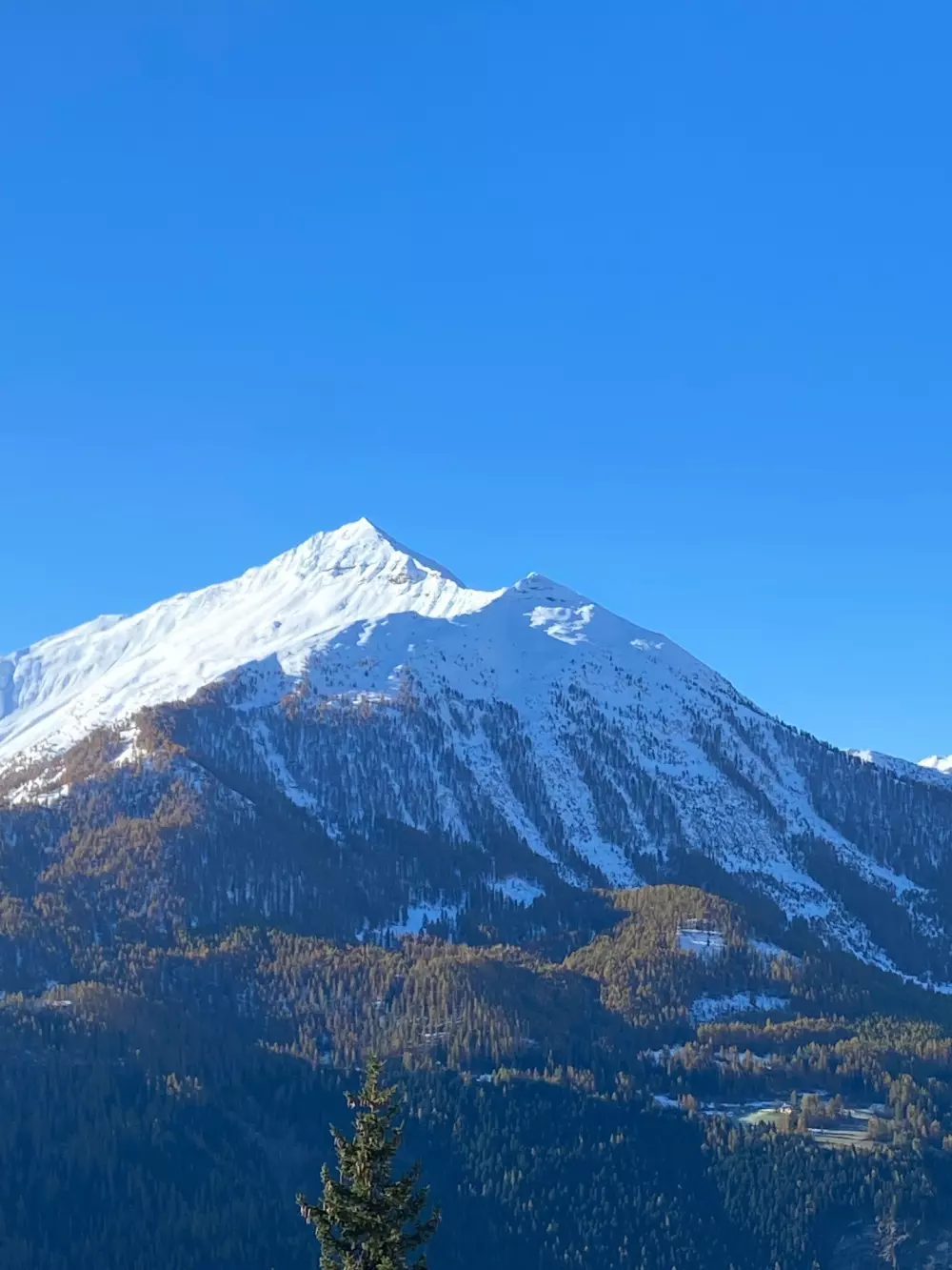 Résidence Terrasses De La Bergerie