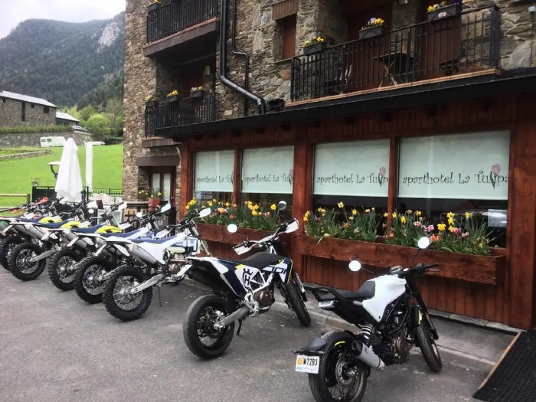 Apartaments La Tulipa