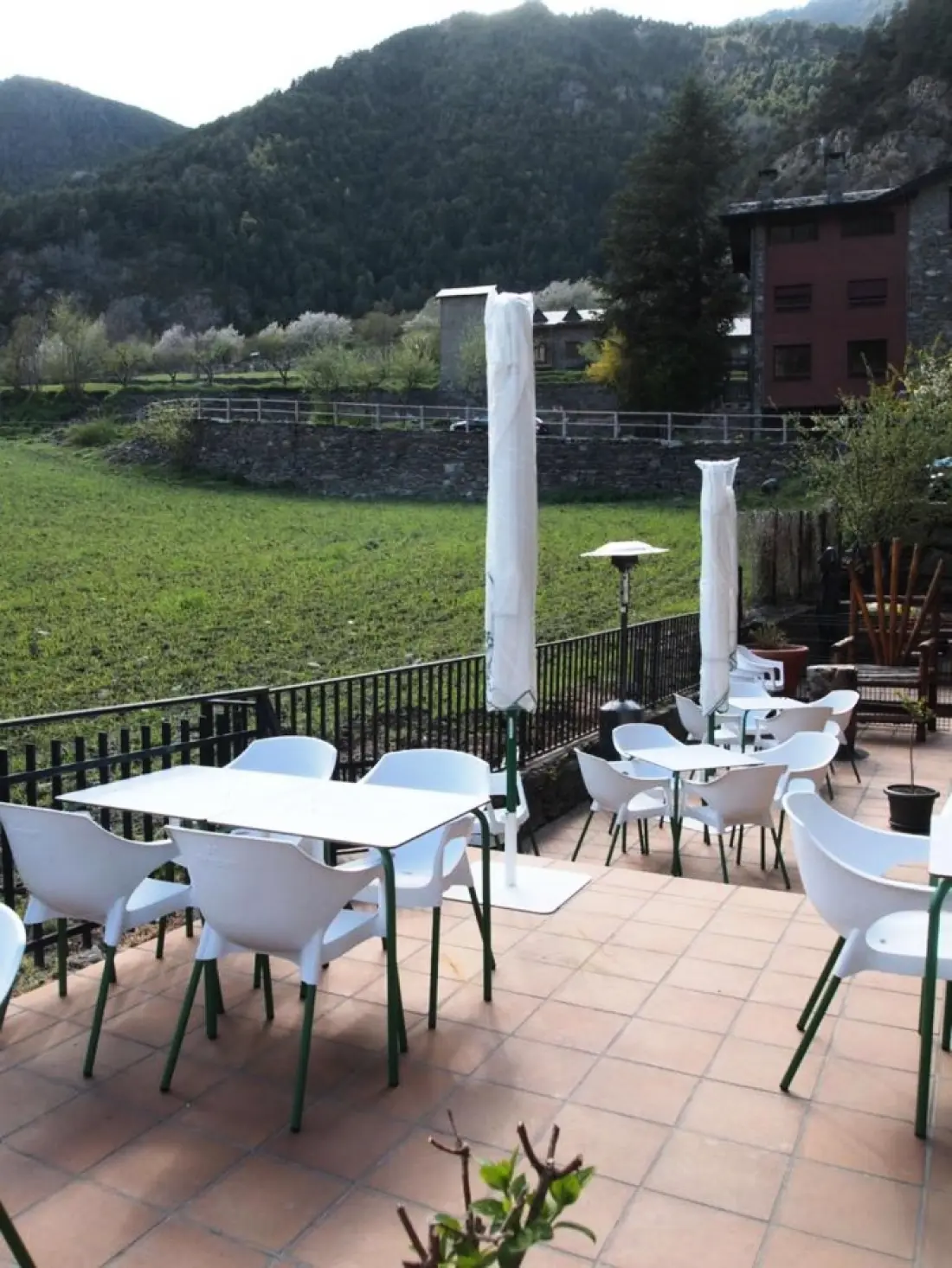 Apartaments La Tulipa