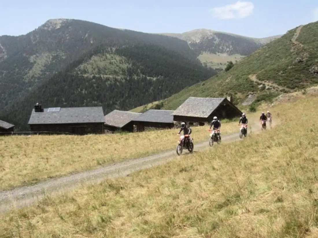 Apartaments La Tulipa