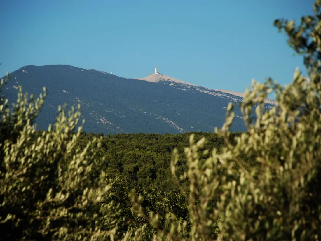 Camping maeva Respire La Vallée Heureuse 4 étoiles★★★★