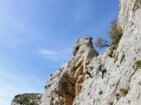 Camping La Vallée Heureuse Pausado 4 étoiles★★★★