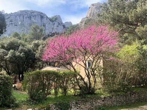 Camping La Vallée Heureuse Pausado 4 étoiles★★★★