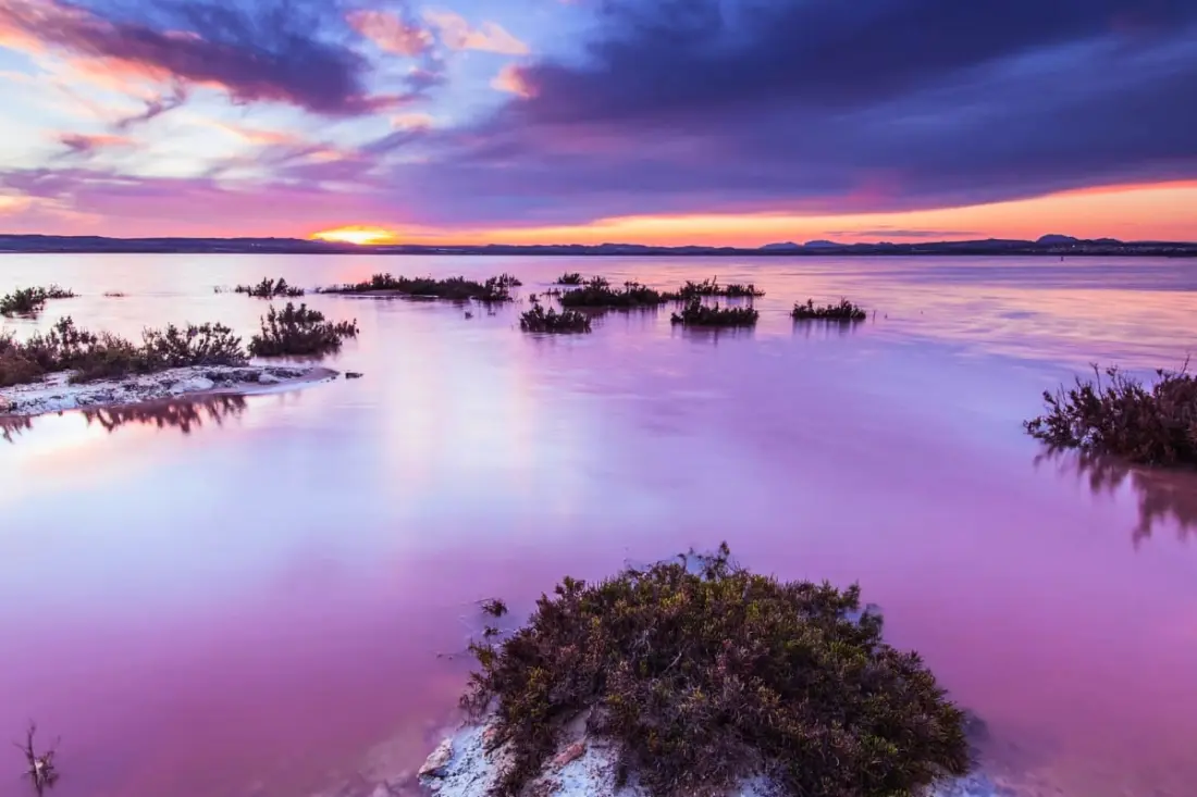 Appartement Golf Vistabella Avec Terrasse Et Piscine