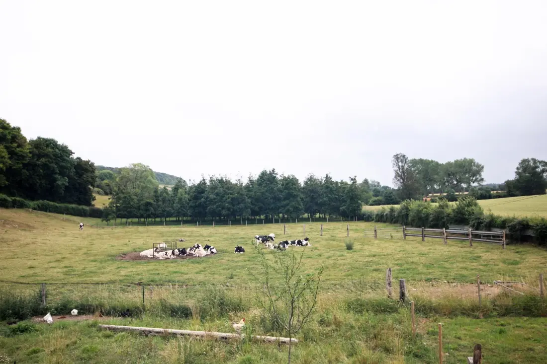 Gîte de France Gîtes de france® - les ecuries du mesnil aux moines 3 épis
