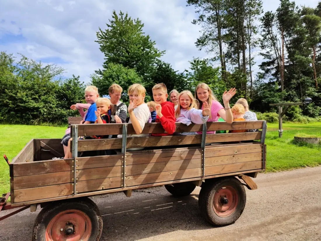 Camping Vestbirk