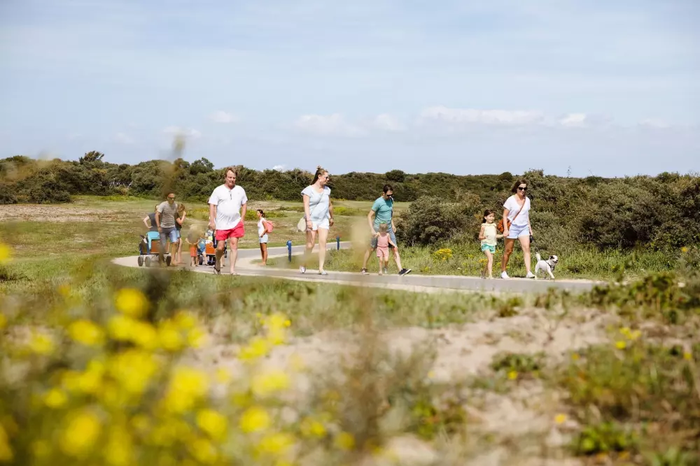 RCN Toppershoedje 4 étoiles★★★★