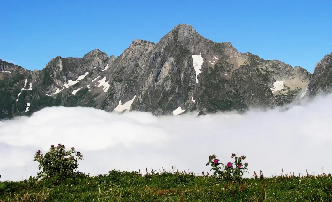 Camping Les 4 Saisons 3 étoiles★★★