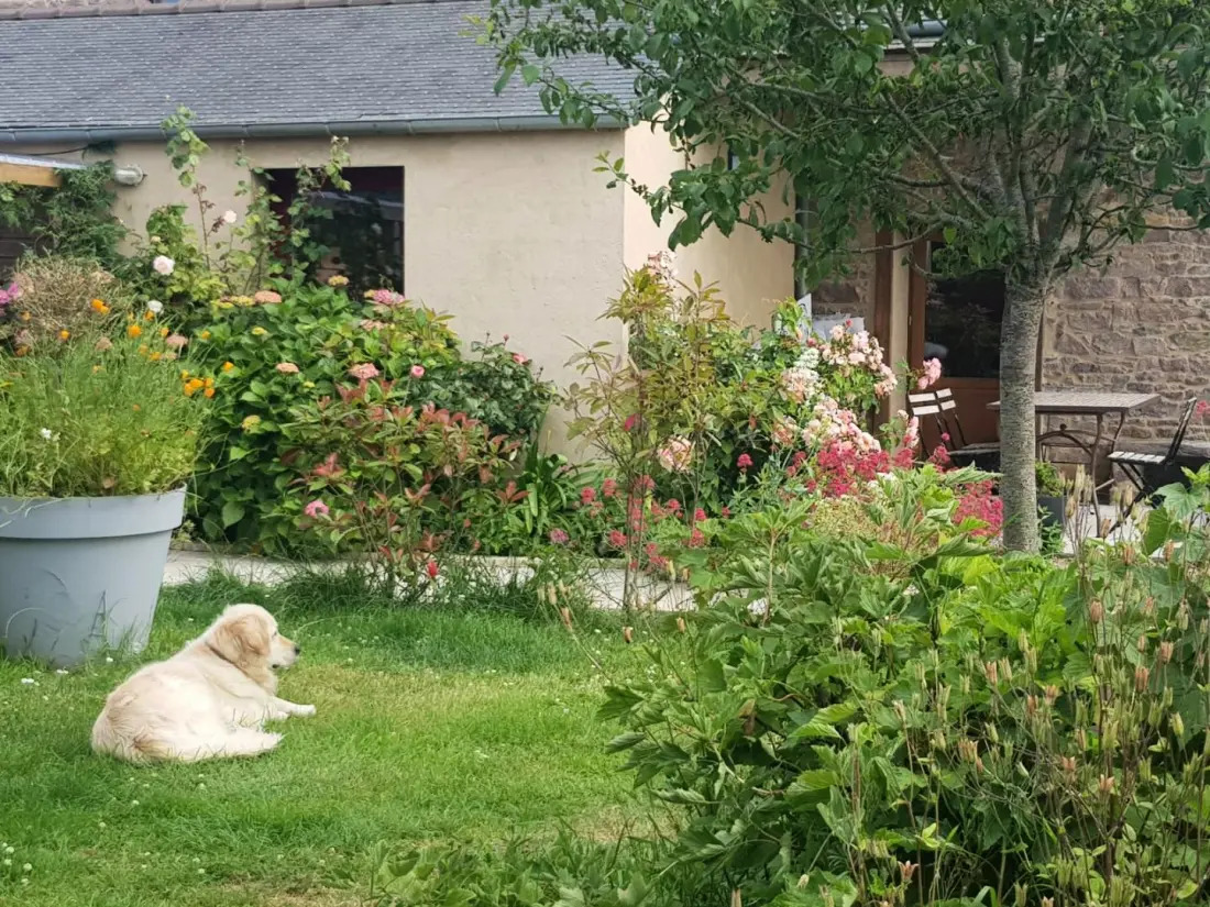 Gîte de France Le gite riad de kerity 3 épis