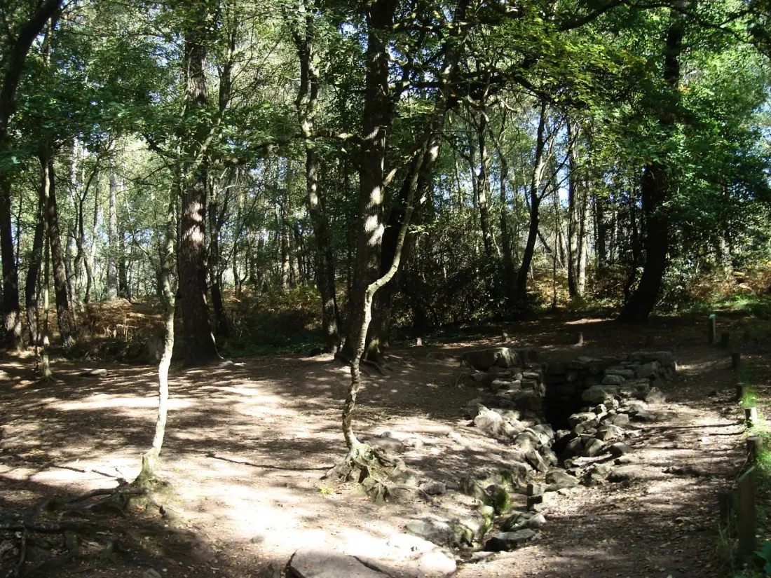 Gîte de France L' échappée des fées 3 épis