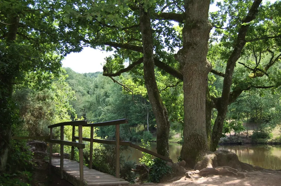 Gîte de France Le cocon des korrigans 3 épis