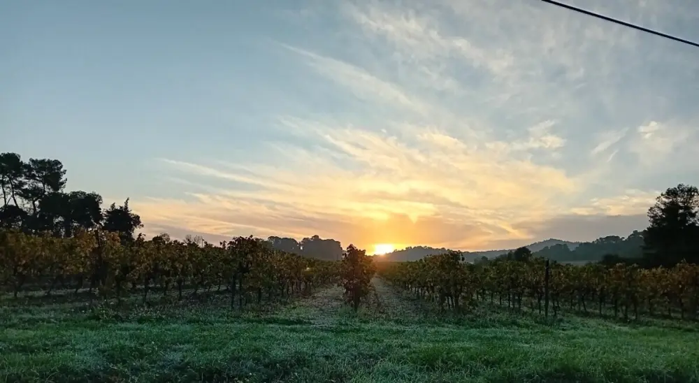 Domaine La Sauzette