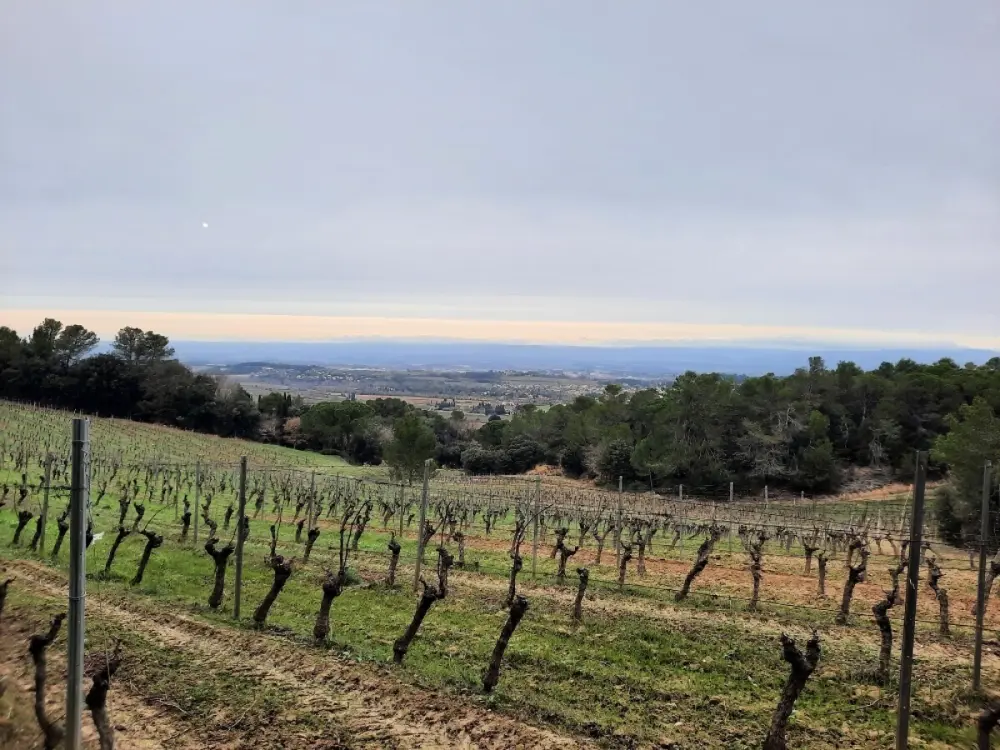 Domaine La Sauzette