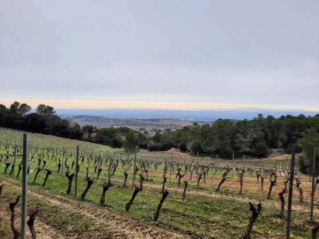 Domaine La Sauzette